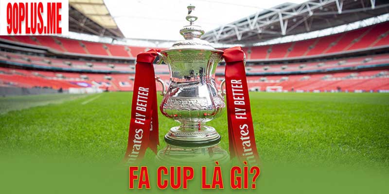 FA Cup Là Gì? Lịch Sử Hình Thành Cùng Những Điều Thú Vị