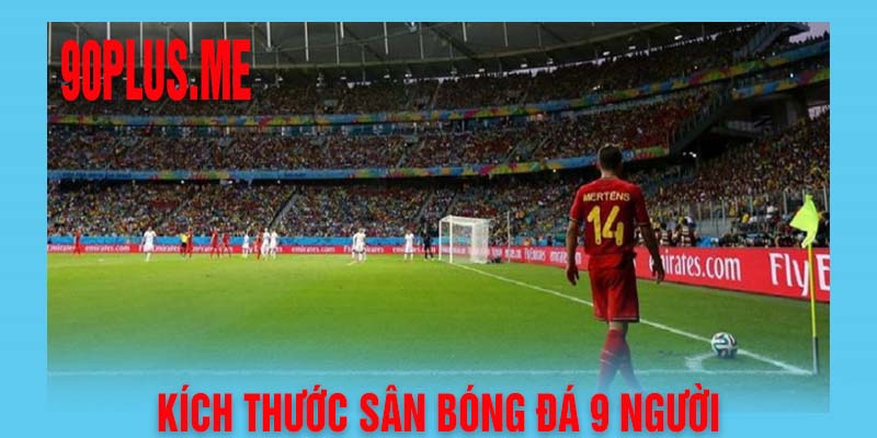 Giải đáp nhanh: Kích thước sân bóng đá 9 người theo tiêu chuẩn FIFA