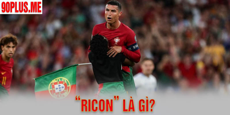 Ricon Là Gì? Đặc Điểm Nhận Dạng Của Ricon Ra Sao?